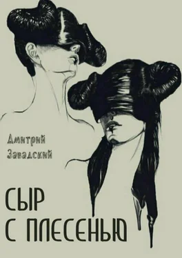 Дмитрий Завадский Сыр с плесенью обложка книги
