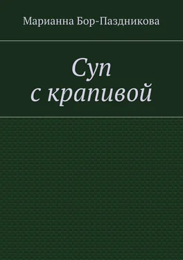 Марианна Бор-Паздникова Суп с крапивой обложка книги