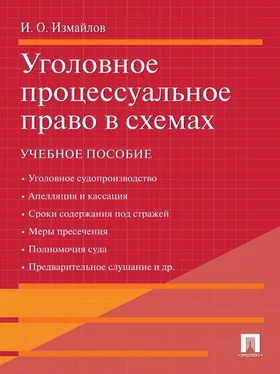 Игорь Измайлов Уголовное процессуальное право в схемах обложка книги