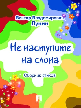 Виктор Лунин Не наступите на слона (сборник стихов) обложка книги