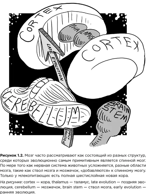 Но если честно даже такая систематизация не на 100 точна Поверьте нам - фото 5