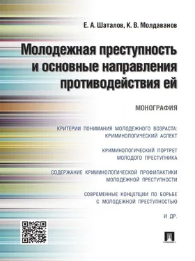 Кирилл Молдаванов Молодежная преступность и основные направления противодействия ей. Монография обложка книги