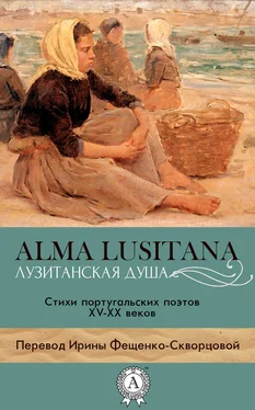 Коллектив авторов Лузитанская душа обложка книги