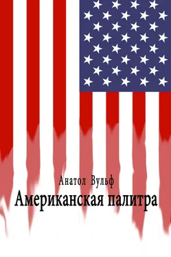 Анатол Вульф Американская палитра обложка книги