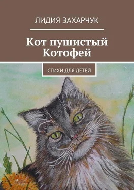 Лидия Захарчук Кот пушистый Котофей. Стихи для детей обложка книги