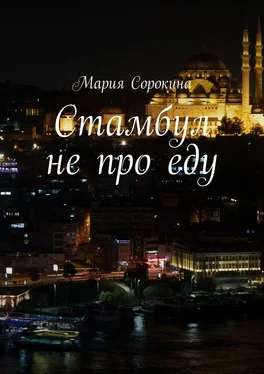 Мария Сорокина Стамбул не про еду обложка книги