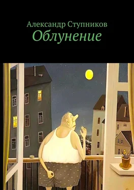 Александр Ступников Облунение обложка книги