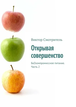 Виктор Смотритель Открывая совершенство. БеZкомпромиссное питание. Часть 2 обложка книги