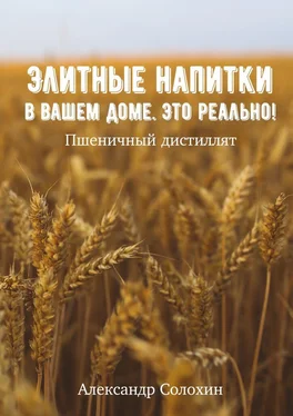 Александр Солохин Элитные напитки в вашем доме. Это реально! обложка книги