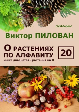 Виктор Пилован О растениях по алфавиту. Книга двадцатая. Растения на Н обложка книги