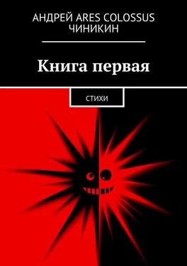 Андрей Чиникин Книга первая. Стихи обложка книги