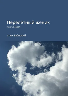 Стасс Бабицкий Перелётный жених. Книга первая обложка книги