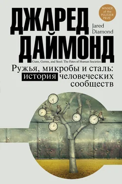 Джаред Даймонд Ружья, микробы и сталь. История человеческих сообществ обложка книги