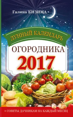 Галина Кизима Лунный календарь огородника на 2017 год обложка книги