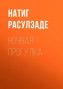 Натиг Расулзаде Ночная прогулка обложка книги