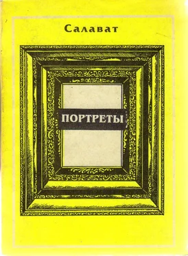 Салават Асфатуллин Литературные портреты обложка книги