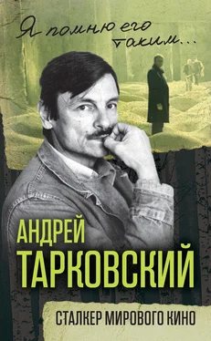 Ярослав Ярополов Андрей Тарковский. Сталкер мирового кино обложка книги