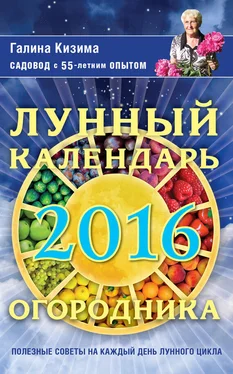 Галина Кизима Лунный календарь огородника на 2016 год обложка книги
