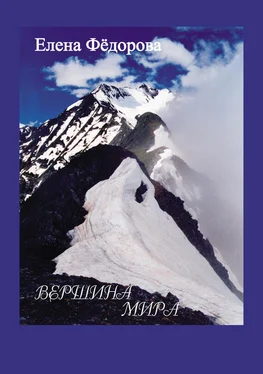 Елена Федорова Вершина мира (сборник) обложка книги