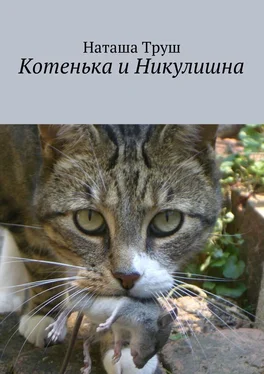 Наташа Труш Котенька и Никулишна обложка книги