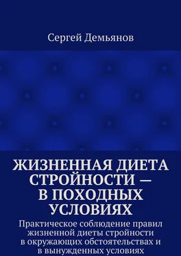 Сергей Демьянов Жизненная диета стройности – в походных условиях. Практическое соблюдение правил жизненной диеты стройности в окружающих обстоятельствах и в вынужденных условиях обложка книги