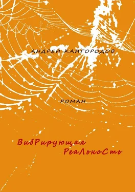 Андрей Кайгородов Вибрирующая реальность. роман обложка книги