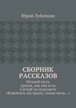 Юрий Лубочкин Сборник рассказов. Ночной гость. Армия, как она есть. Случай на педсовете. «Взвейтесь кострами, синие ночи…» обложка книги