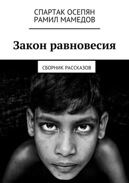 Рамил Мамедов Закон равновесия. Сборник рассказов обложка книги