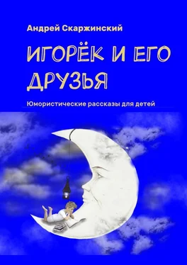 Андрей Скаржинский Игорёк и его друзья. Юмористические рассказы для детей обложка книги