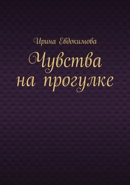 Ирина Евдокимова Чувства на прогулке обложка книги