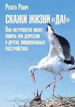 Рената Равич Скажи жизни «Да!». Как натуропатия может помочь при депрессии и других эмоциональных расстройствах обложка книги