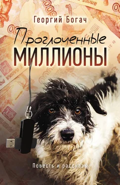 Георгий Богач Проглоченные миллионы (сборник) обложка книги