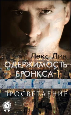 Лекс Лин Просветление обложка книги