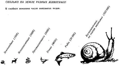 Основоположник современной энтомологии французский натуралист ЖанАнри Фабр - фото 12