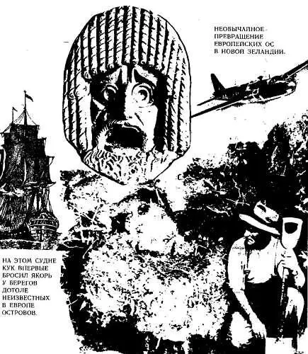 Разделавшись в конторе с бумажными формальностями и уговорившись насчет брички - фото 213