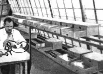 Шмелиная лаборатория в теплице Проводится усыпление шмеля углекислым газом На - фото 66