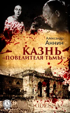 Александр Аннин Казнь «Повелителя тьмы» обложка книги