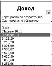 Рис 810 Выбор варианта фильтрации В открывшемся окне Пользовательский - фото 89