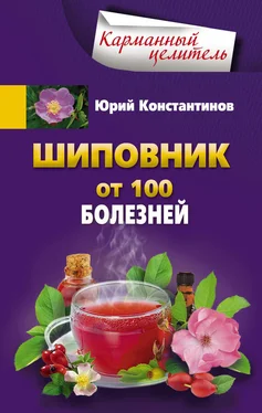 Юрий Константинов Шиповник. От 100 болезней обложка книги