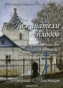 Николай Толстиков Пожинатели плодов обложка книги