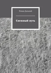 Роман Дальний - Снежный путь
