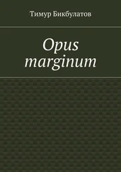 Тимур Бикбулатов - Opus marginum