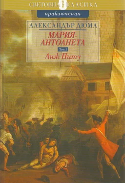 Александър Дюма Анж Питу обложка книги