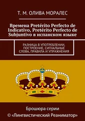 Т. Олива Моралес - Времена Pretérito Perfecto de Indicativo, Pretérito Perfecto de Subjuntivo в испанском языке. Разница в употреблении, построение, сигнальные слова, пра
