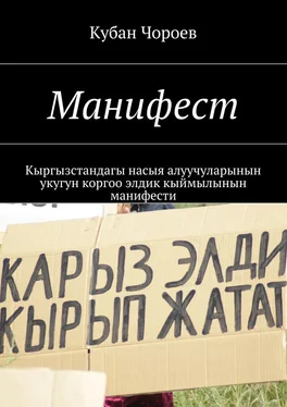 Кубан Чороев Манифест. Кыргызстандагы насыя алуучуларынын укугун коргоо элдик кыймылынын манифести обложка книги