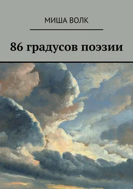 Миша Волк 86 градусов поэзии обложка книги