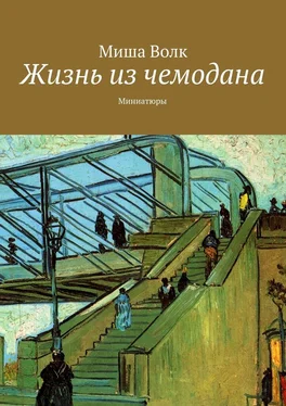 Миша Волк Жизнь из чемодана. Миниатюры обложка книги