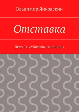 Владимир Янковский Отставка. Дело 01. «Убиенные молнией» обложка книги