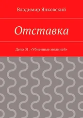 Владимир Янковский - Отставка. Дело 01. «Убиенные молнией»