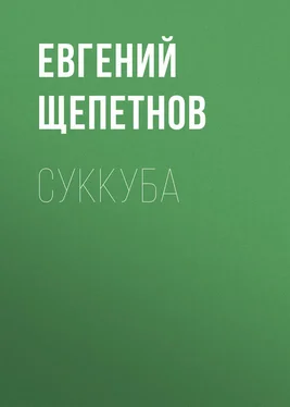 Литагент Щепетнов Евгений Суккуба обложка книги